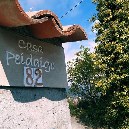 Casa Peidaigo Immersa Nel Verde,Vista Mare E Monti Ventimiglia Buitenkant foto