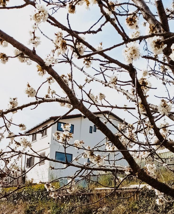 Casa Peidaigo Immersa Nel Verde,Vista Mare E Monti Ventimiglia Buitenkant foto